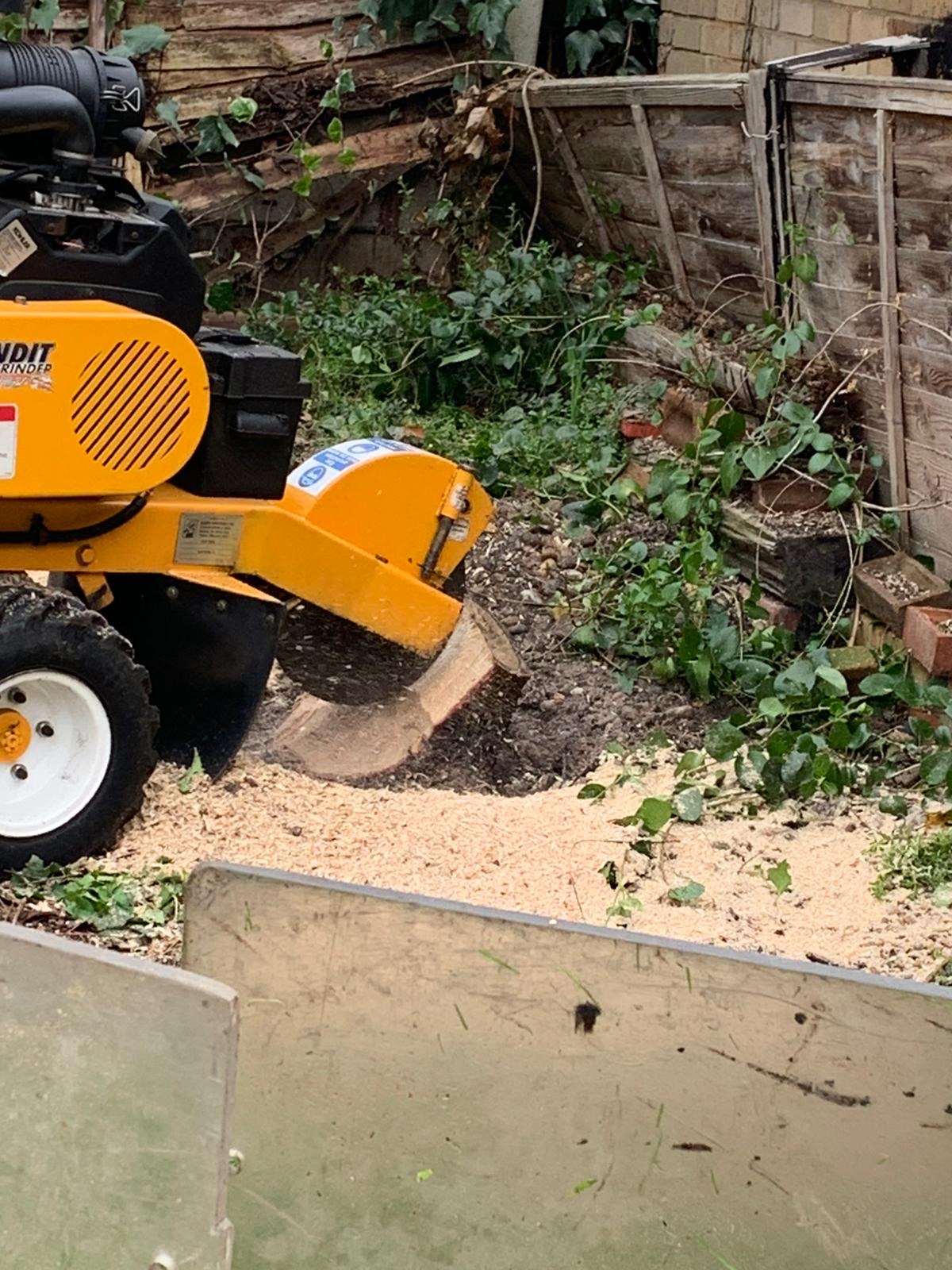 Stump ground below ground level
